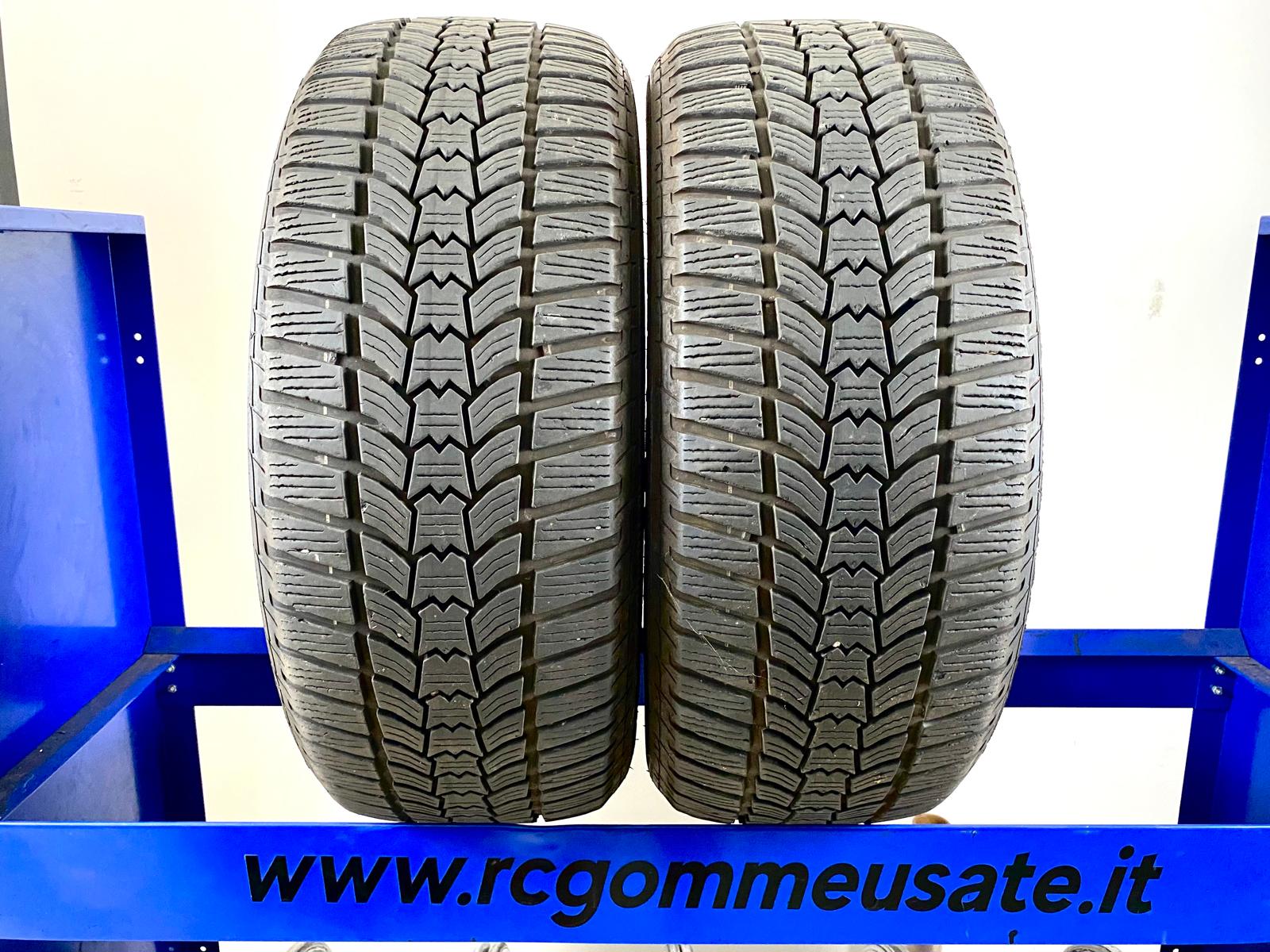 Sava 225/55 R17 101V M+S Invernali
